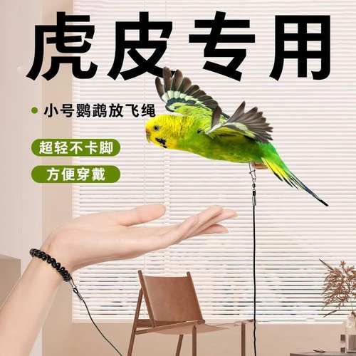 鹦鹉牵引绳虎皮鹦鹉放飞绳专用不伤脚超轻训练绳背带遛鸟绳神器