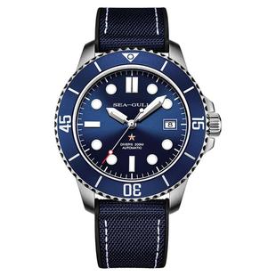 海鸥表男士海洋系列夜光深度潜水表水鬼手表男款自动机械表6204