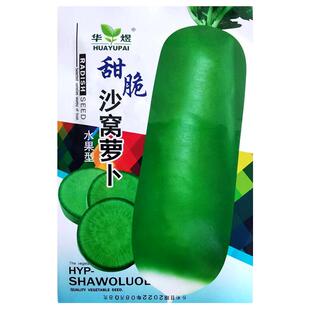 绿皮绿肉水果萝卜种子阳台盆栽庭院农家作物脆甜秋冬季疏蔬菜种籽
