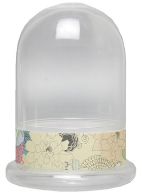 苔藓微景观玻璃瓶平底瓶球形斜口