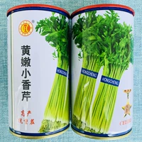 Желтые нежные маленькие семена сельдерея 80 г специальные консервированные семена для поля