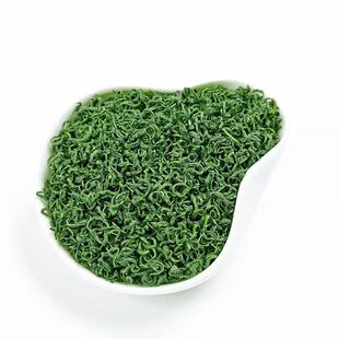 2025年海青绿茶新茶赛崂山春茶叶青岛特产明前碧螺春炒青250g包邮