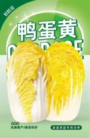 Семена капусты для детей с утиным желтком, 5 г, оригинальные, такие же яркие и желтые, как утиные яйца, и имеют приятный вкус.