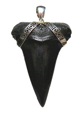 天然巨齿鲨牙化石吊坠