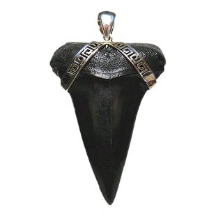 鲨鱼牙化石巨齿鲨牙齿天然真牙裸牙吊坠远古海洋巨兽牙 流星花园