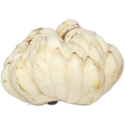 隆回药食同源龙牙百合