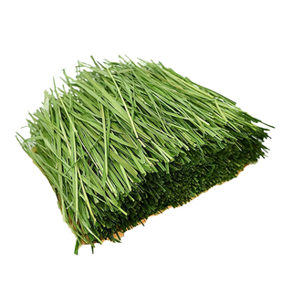 烘干提摩西草段宠物牧草兔子食用草龙猫豚鼠专用兔草兔粮饲料干草