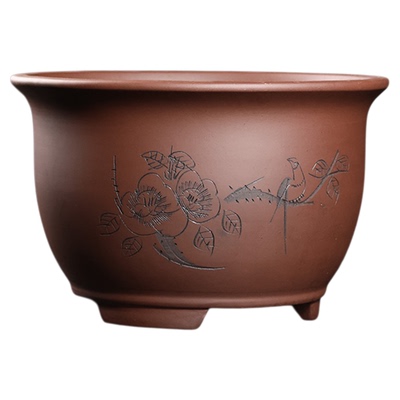 紫砂大口径君子兰花盆种树盆