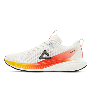 匹克飞翎态极跑步鞋男女春季缓震慢跑鞋密网健身训练鞋休闲运动鞋