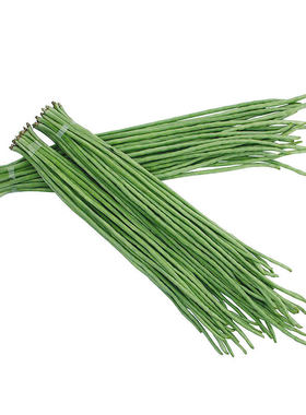 高产901豇豆长豆角蔬菜种子大全