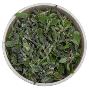 天然野生构树穗焯水冷冻楮不揪蒸菜构穗褚桃穗新鲜美味构絮构棒槌