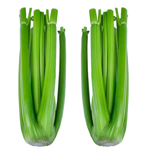 【开森菽菽】山东新鲜西芹榨汁专用现割现发寿光西芹【顺丰包邮】
