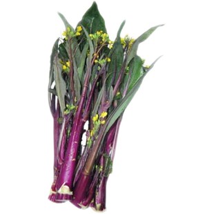 湖北红菜苔新鲜紫菜苔现摘洪山菜苔特产绿色蔬菜露天打霜5斤包邮