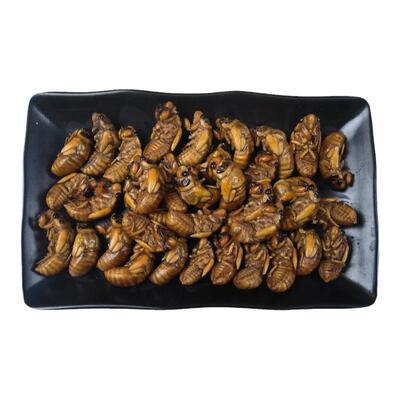 新鲜金蝉冷冻知了猴山东特产