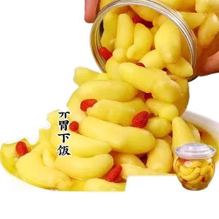 枸杞泡姜芽500g山东特产农家腌制生姜下饭菜新鲜姜芽生腌泡菜醋泡