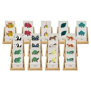 蒙氏语言教具对应嵌板动物植物三段卡花鱼鸟乌龟马蛙拼图三部分卡