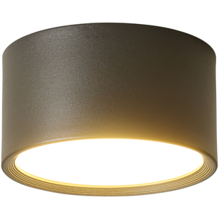 2026新款过道走廊灯led吸顶灯客厅灯简约现代卧室灯房间阳台灯具