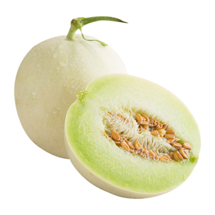 新玉姑甜瓜种籽早熟超甜香瓜种子哈密瓜四季蔬菜盆栽菜籽秧苗春季