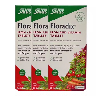 3盒装Floradix德国铁元salus补铁便携片剂成人英国红铁26年5月