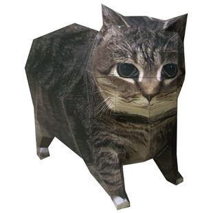 oiiai猫meme纸模型图纸huh猫Maxwell猫旋转疑惑苹果香蕉猫手工DIY