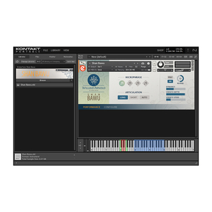 巴乌音源中国少数民族乐器Embertone Shan Bawu巴乌独奏古风编曲