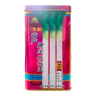 速生寒葱大葱种子 抗病耐寒越冬高白铁杆山东章丘巨葱大葱种子籽