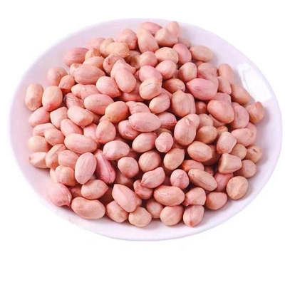 精选无壳白沙花生米批发