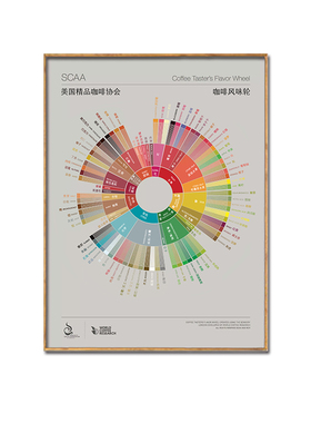 咖啡风味轮挂画创意地图产区文化