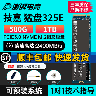 机M2笔记本NVMe电脑M.2固态硬盘SSD1TB 猛盘325E 500G1T台式