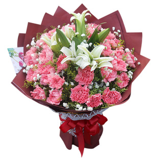 康乃馨花束圣诞礼物鲜花速递送老师上海广州花店同城送花订上门