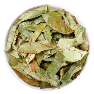 野生石楠叶中药材500克石楠叶新货石眼树叶老少年叶石南叶干货