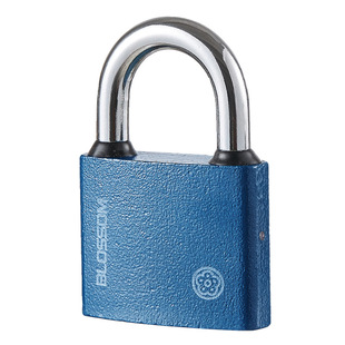 梅花BC29铜芯挂锁蓝色喷塑实心铁挂锁户外大门防盗防撬宿舍柜子锁