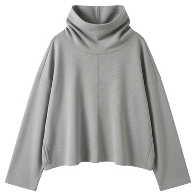 Loose casual high collar solid sweater宽松休闲高领纯色卫衣女