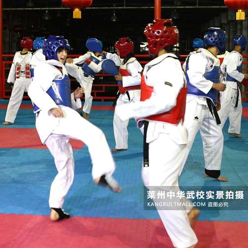 跨境康瑞跆拳道道垫训练武术打擂台垫地垫地泡沫垫拼接垫散