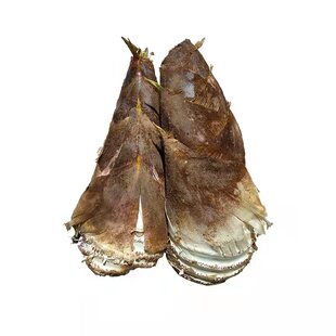 春笋新鲜正宗建瓯竹笋时令蔬菜农家现挖现发黄泥笋大笋鲜笋五斤