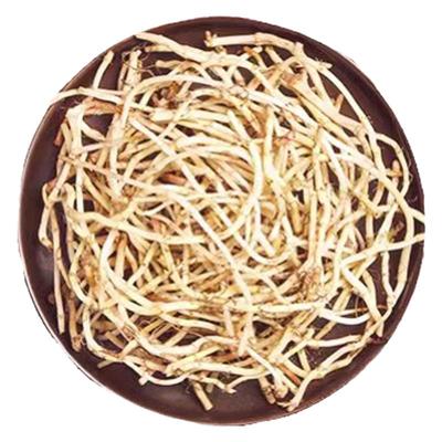 【2024年新根】现挖！精品鱼腥草