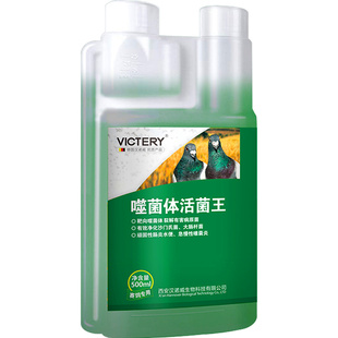 鸽用噬菌体活菌王汉诺威肠道调理保健非鸽子药大全防止水绿便肠炎