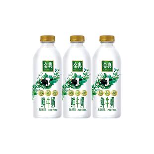 伊利金典鲜牛奶家庭大瓶装高钙巴氏杀菌冷藏鲜活营养低温纯牛奶