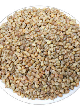 浅加工云南胚芽纯苦荞米500g*5袋