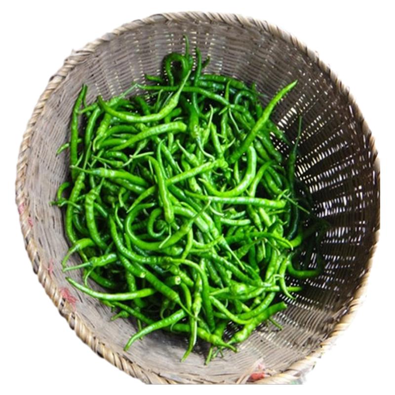 湖南邵阳农家青辣椒现摘新鲜蔬菜