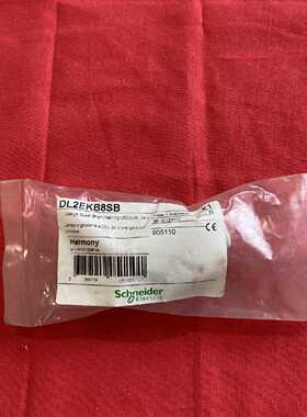 议价施耐德DL2EKB8SB橙色超亮24ADC闪光LED灯泡超发光二极管指示
