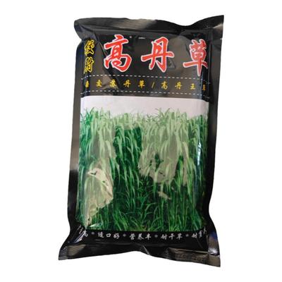 高丹草牧草籽牧草进口