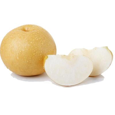 秋月梨现摘现发细腻无渣甜脆