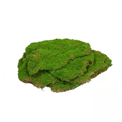 包邮仿真草坪绿植造景苔藓假花草皮青苔植绒软装造景草坪蔷薇装饰