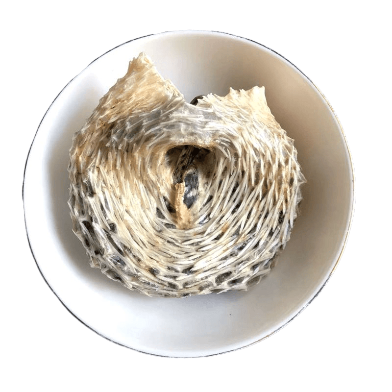 靓大刺龟鱼皮刺豚皮刺鲍鱼海胆皮煲汤暖胃胶质多海鲜干货500克