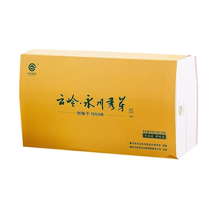 云岭永川秀芽极川绿茶小泡礼盒