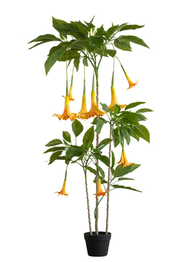 仿真绿植室内装饰盆栽曼陀罗
