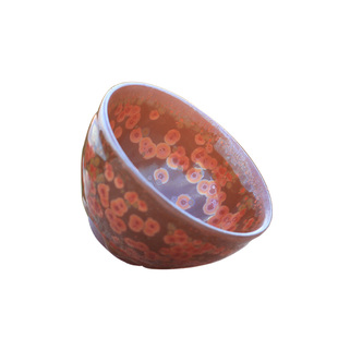 宋风居  建阳建盏茶杯名师蔡炳盛油滴火凤凰纯手工原矿铁胎主人杯