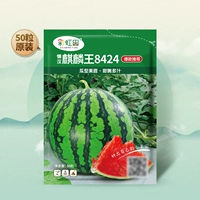 Радужное поле Qilin King 8424 50 арбузов