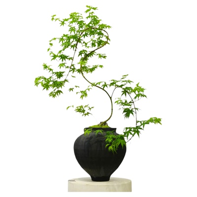 造型飘逸，氛围感好物